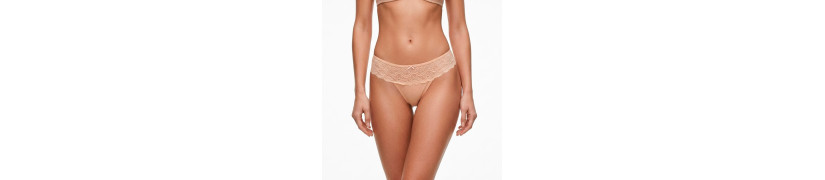 Tanga Algodón Con Encaje Peter Pan Beige 425