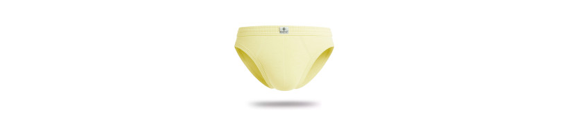 Trusas Boston Con Recubierto Crema